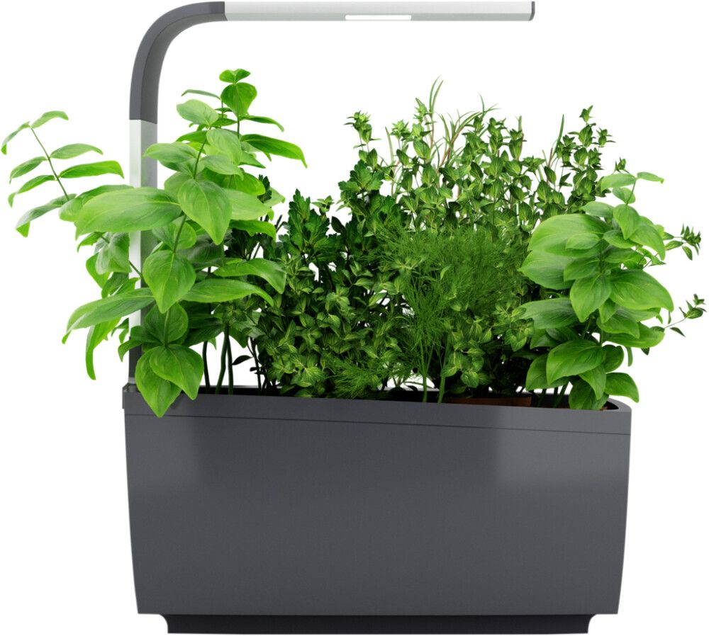 Sisäpuutarha Tregren T6 harmaa