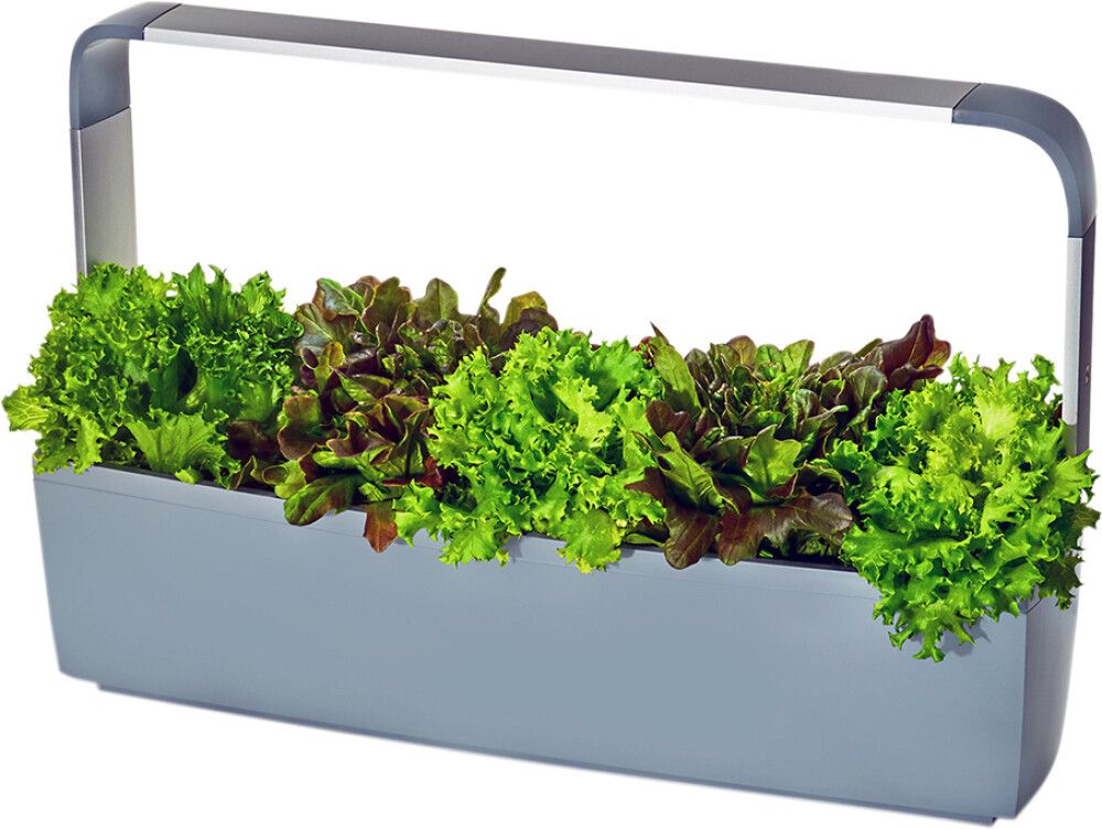 Sisäpuutarha Tregren T12 harmaa