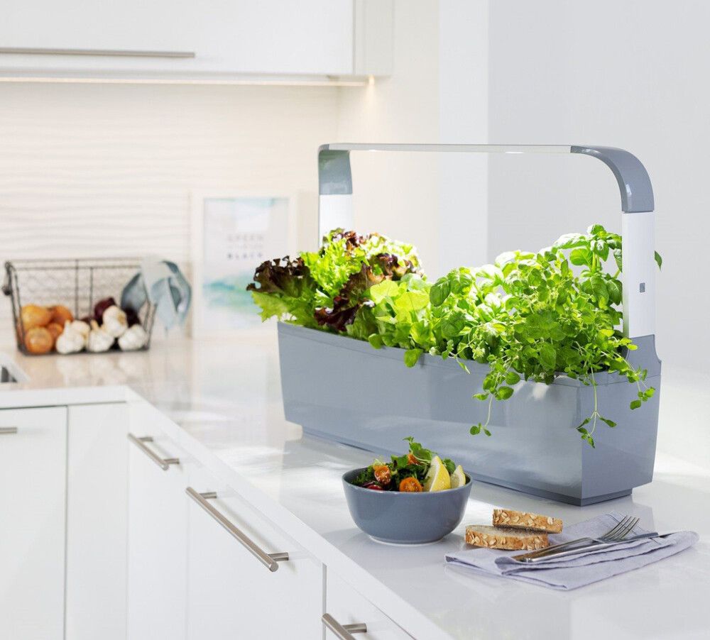 Sisäpuutarha Tregren T12 harmaa