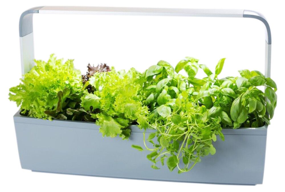 Sisäpuutarha Tregren T12 harmaa