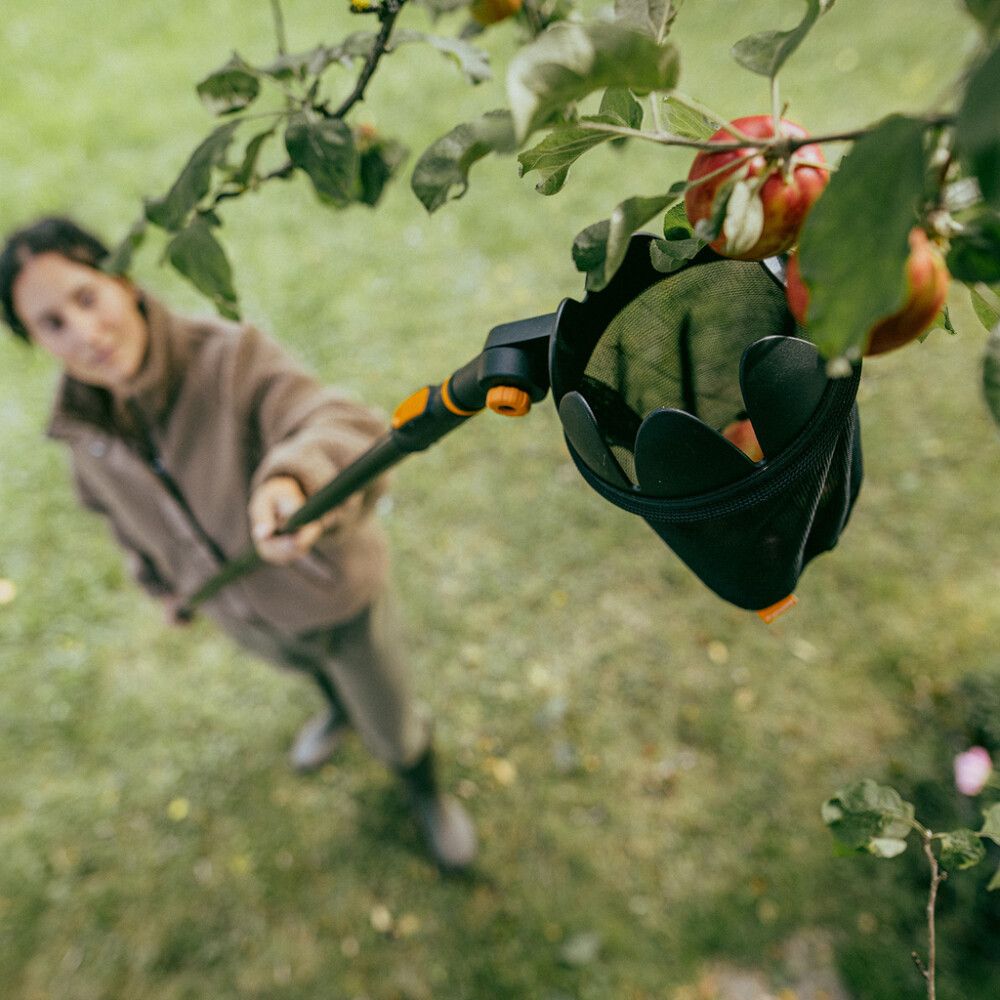 Pikkukuva 3