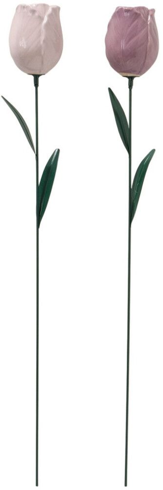 Puutarhakoriste tulppaani 66 cm lajitelma