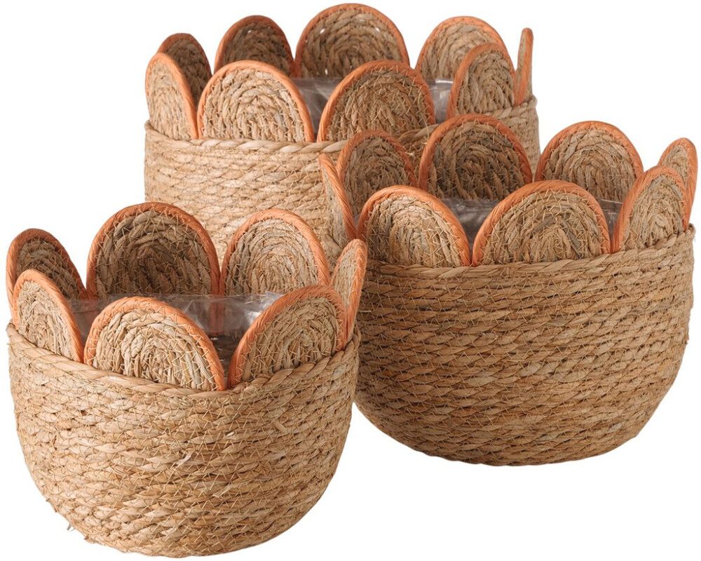 Koriruukku Colada 20 x 24 cm