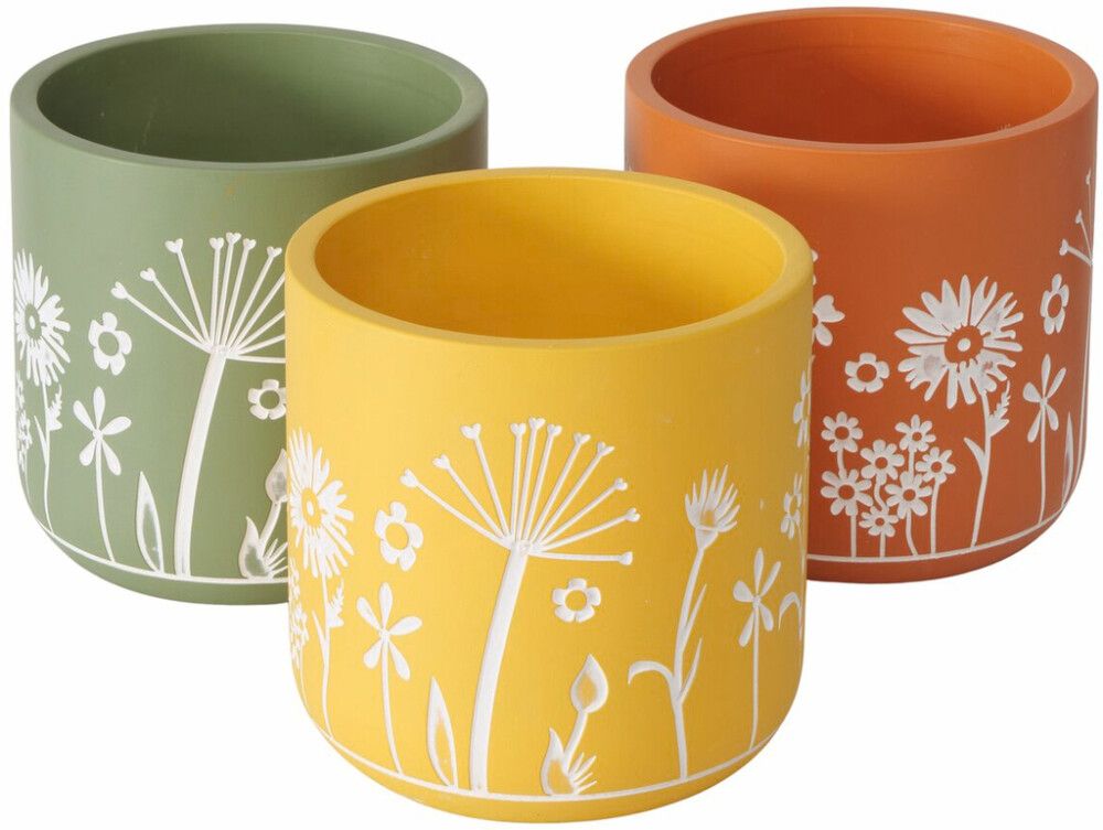 Suojaruukku Honey 16 cm lajitelma