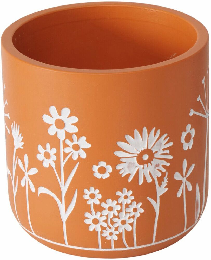 Suojaruukku Honey 16 cm lajitelma