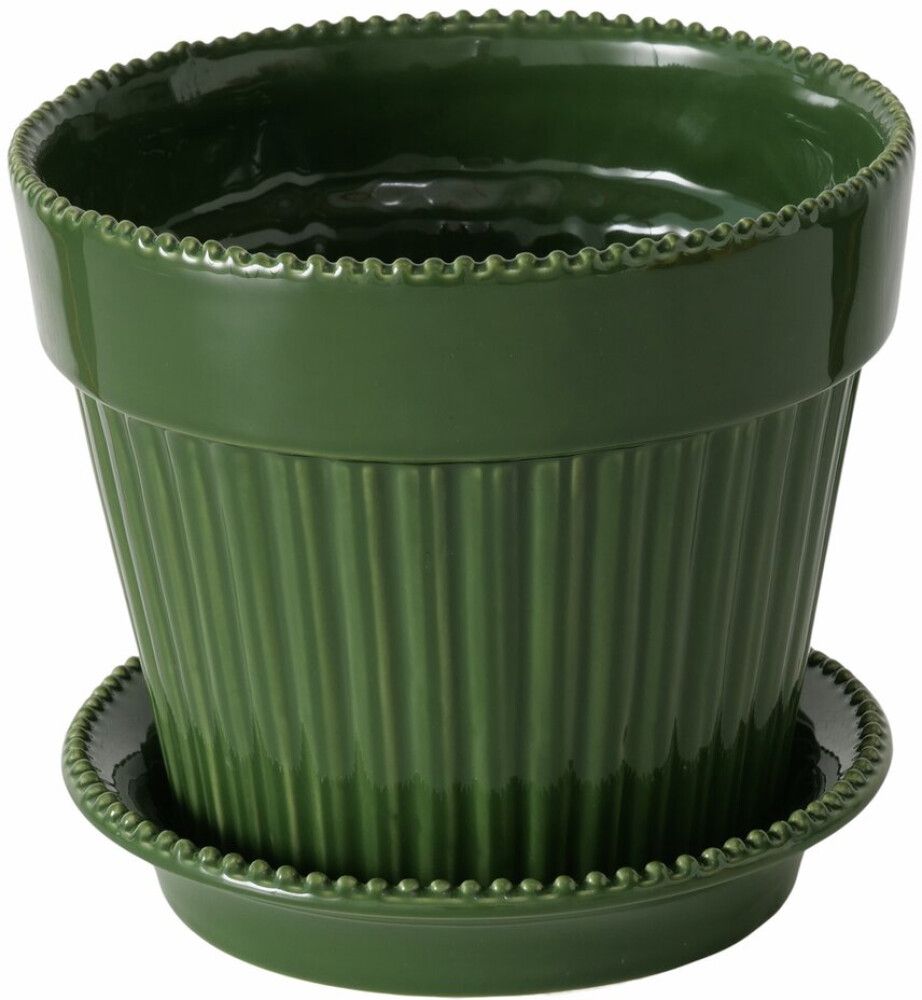 Suojaruukku Juniper vihreä 14,9 cm