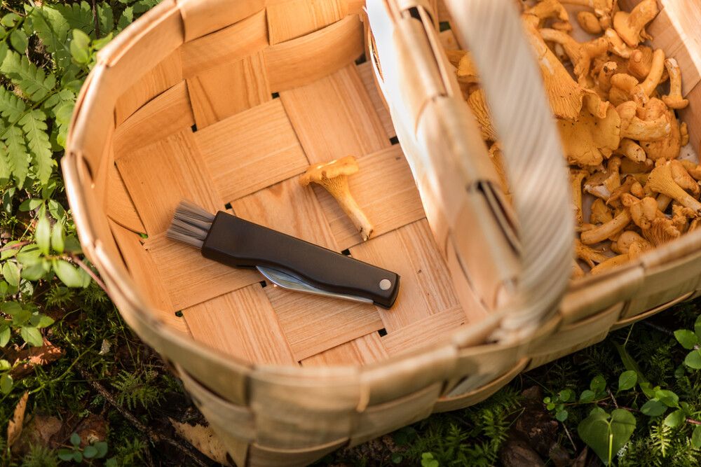 Pärekori jakajalla 40 x 27 x 31 cm