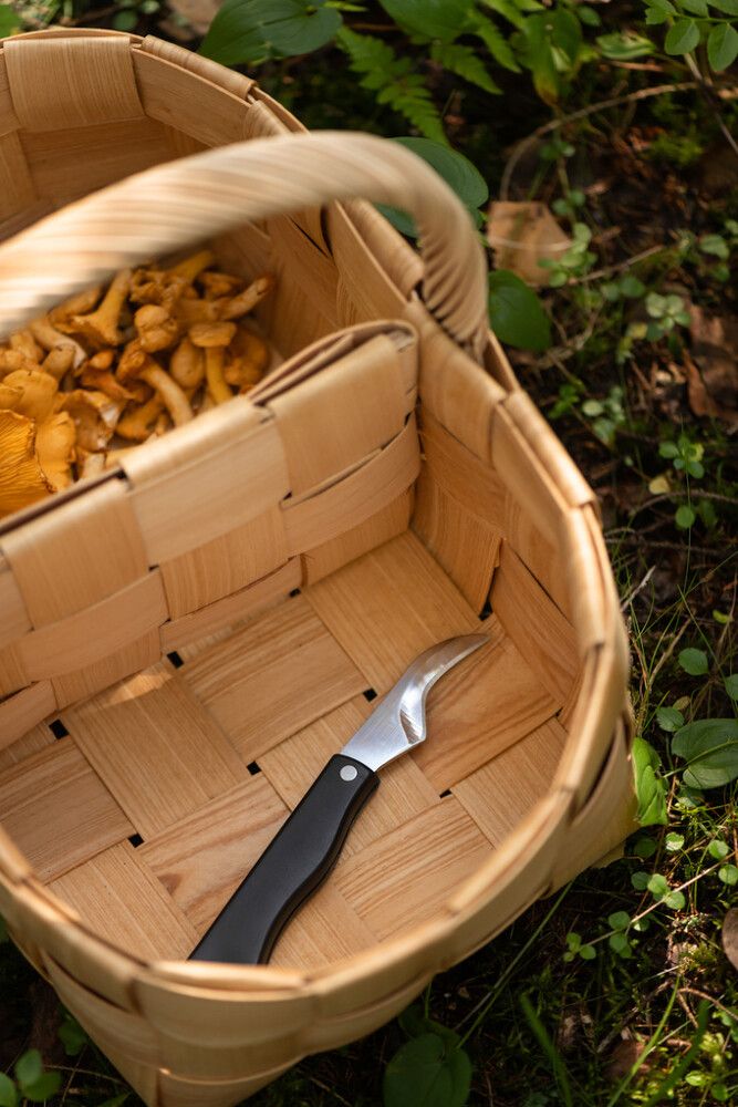 Pärekori jakajalla 40 x 27 x 31 cm