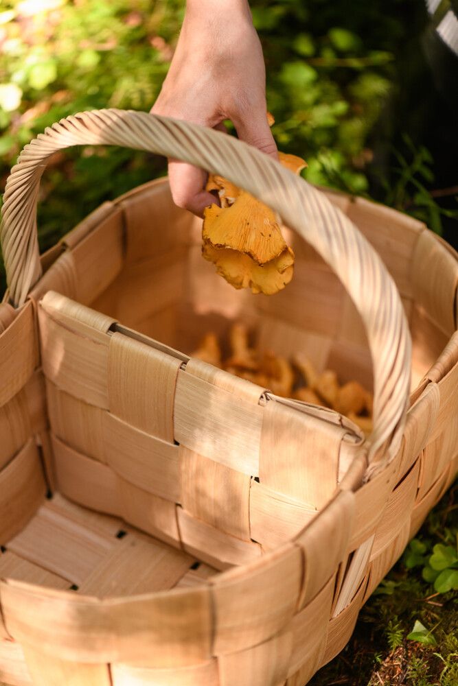 Pärekori jakajalla 40 x 27 x 31 cm