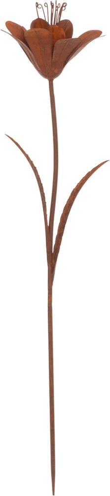 Puutarhakoriste kukka 85 cm