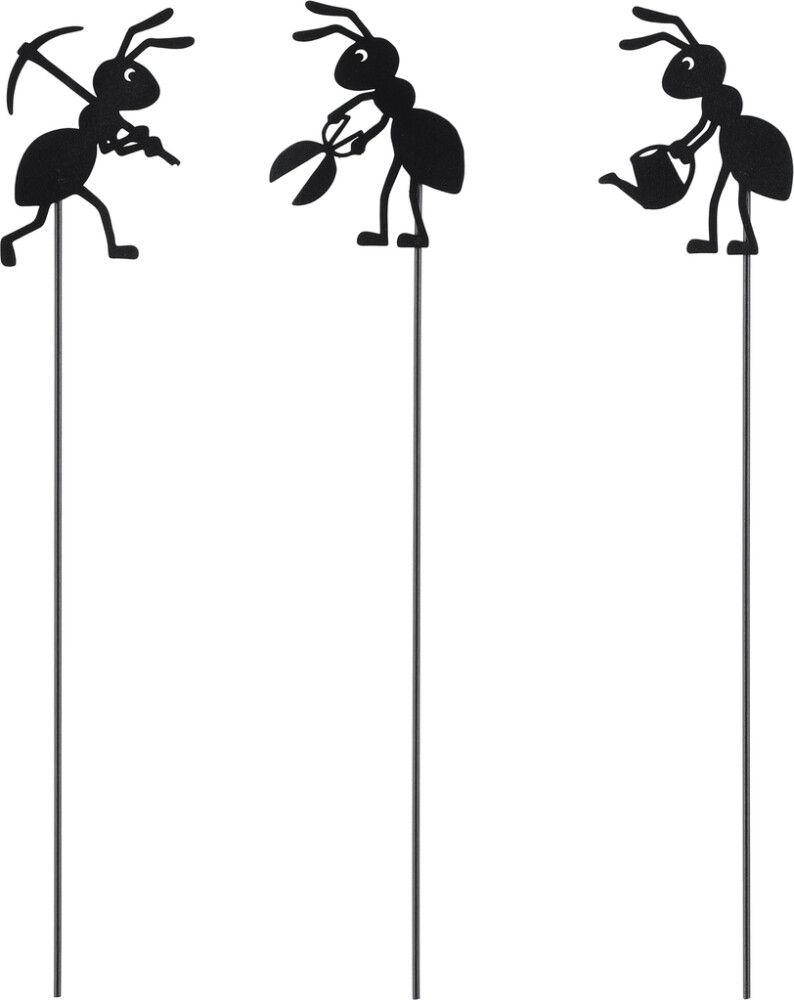 Puutarhakoriste muurahainen 40 cm lajitelma