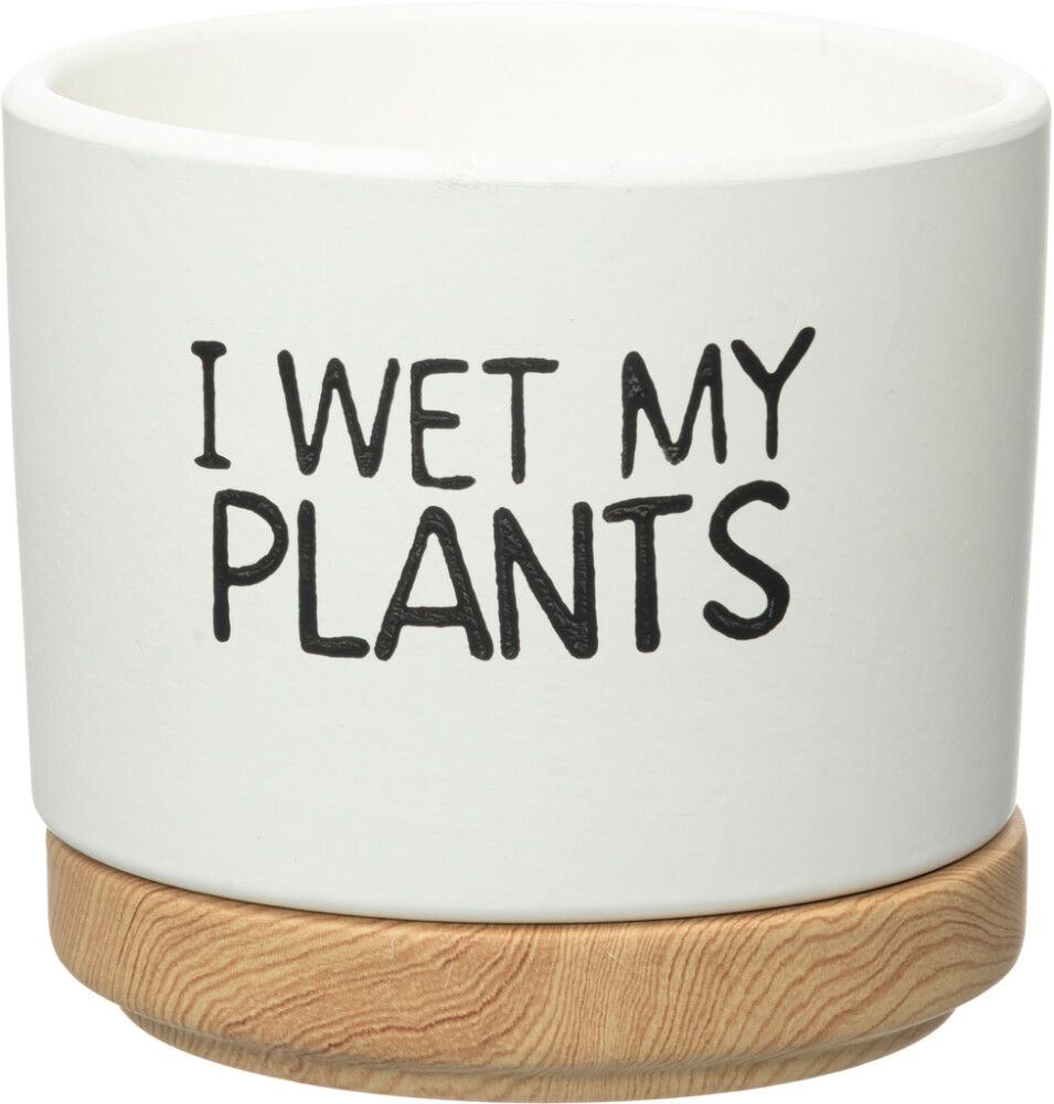 Suojaruukku Quotes aluslautasella lajitelma