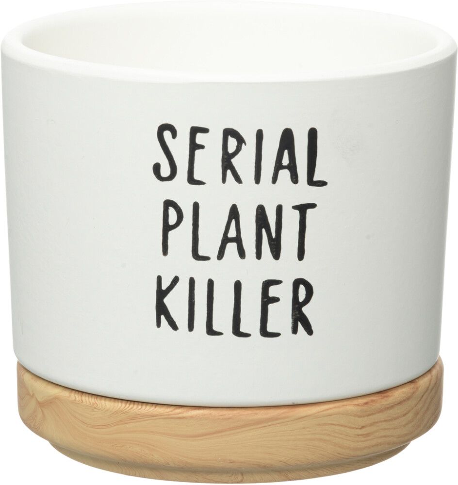 Suojaruukku Quotes aluslautasella lajitelma