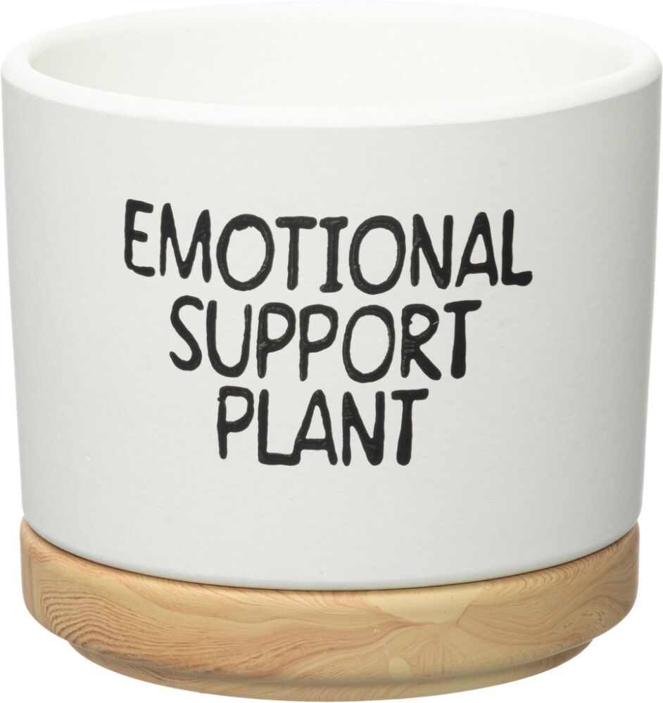 Suojaruukku Quotes aluslautasella lajitelma