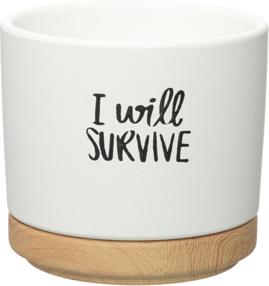 Suojaruukku Quotes aluslautasella lajitelma