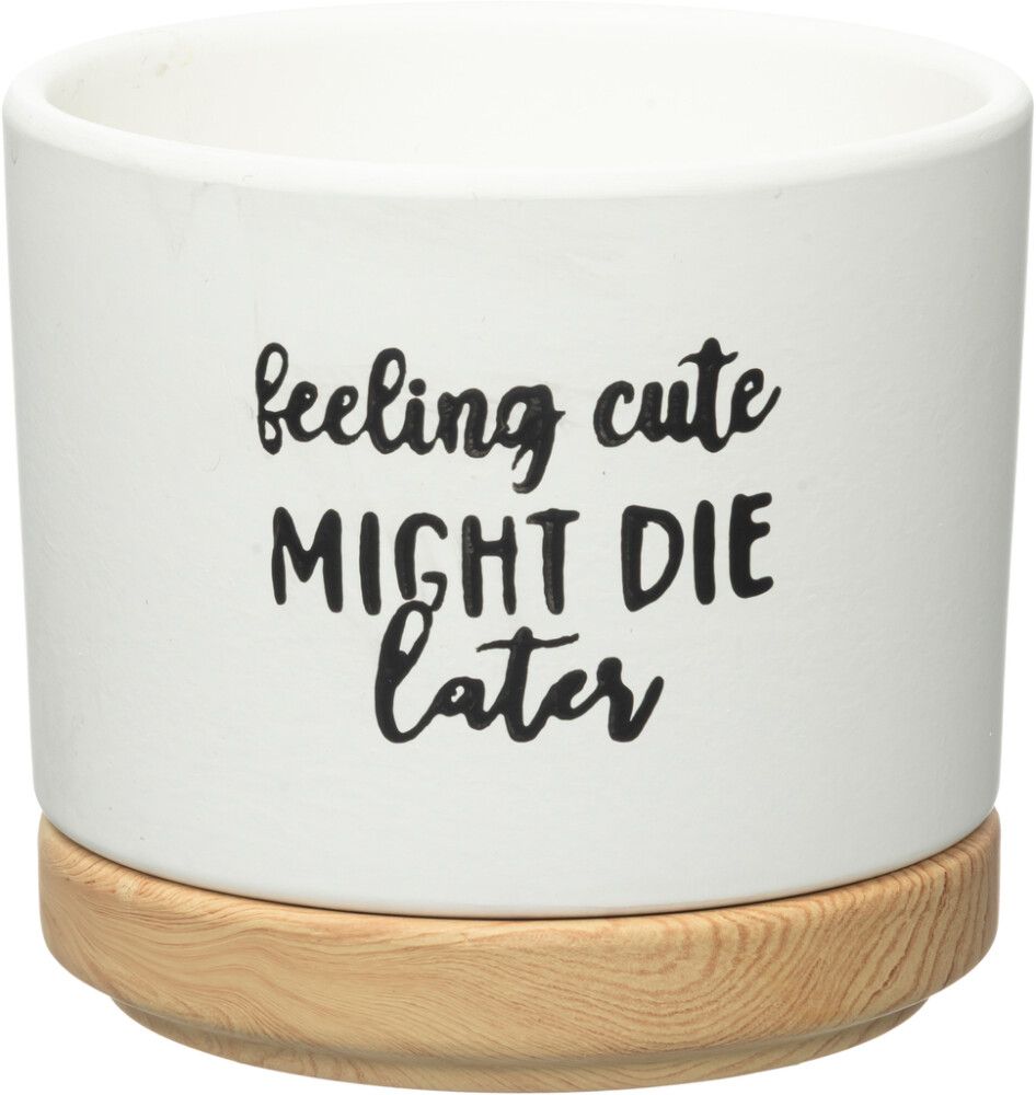 Suojaruukku Quotes aluslautasella lajitelma