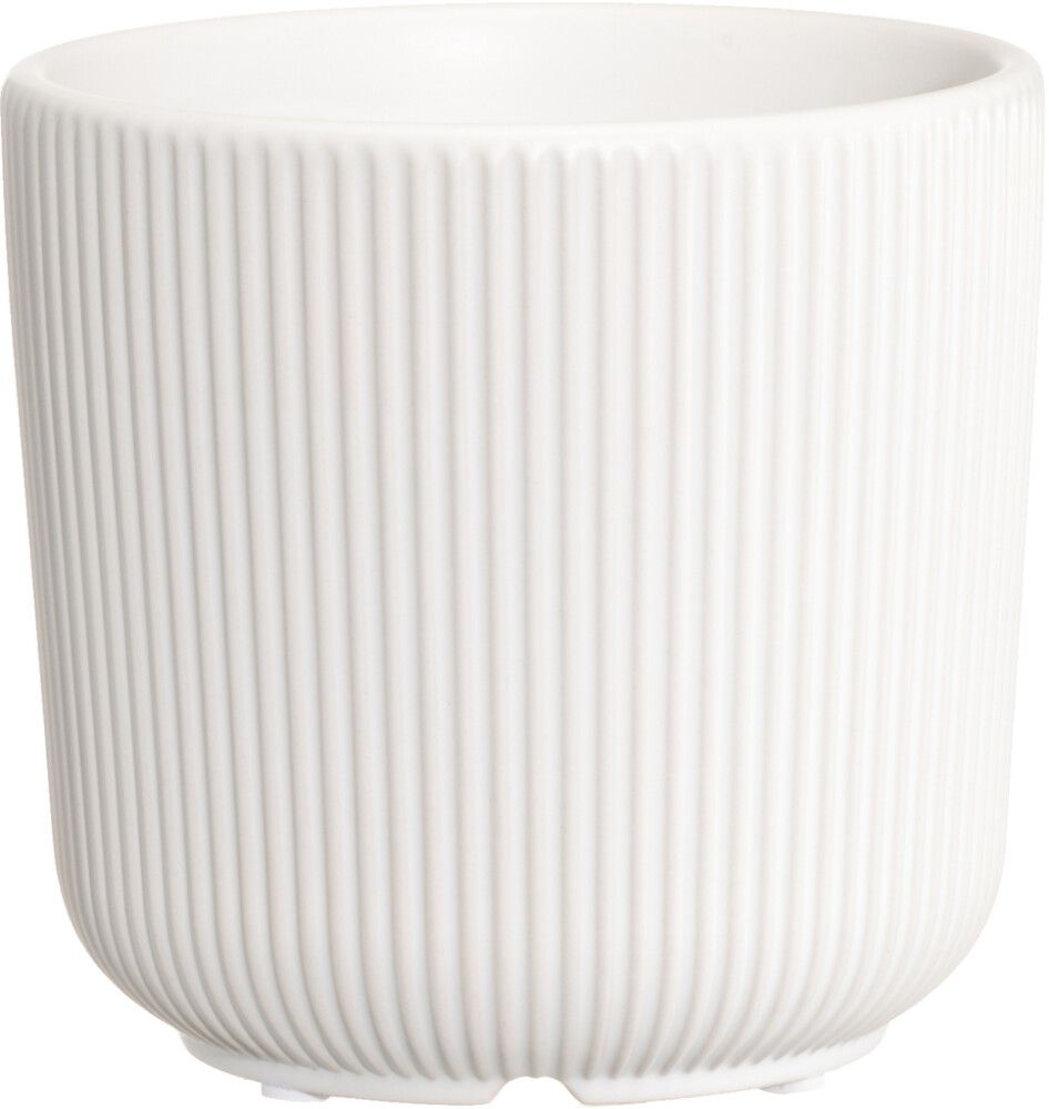 Suojaruukku Eliza 15 cm lajitelma