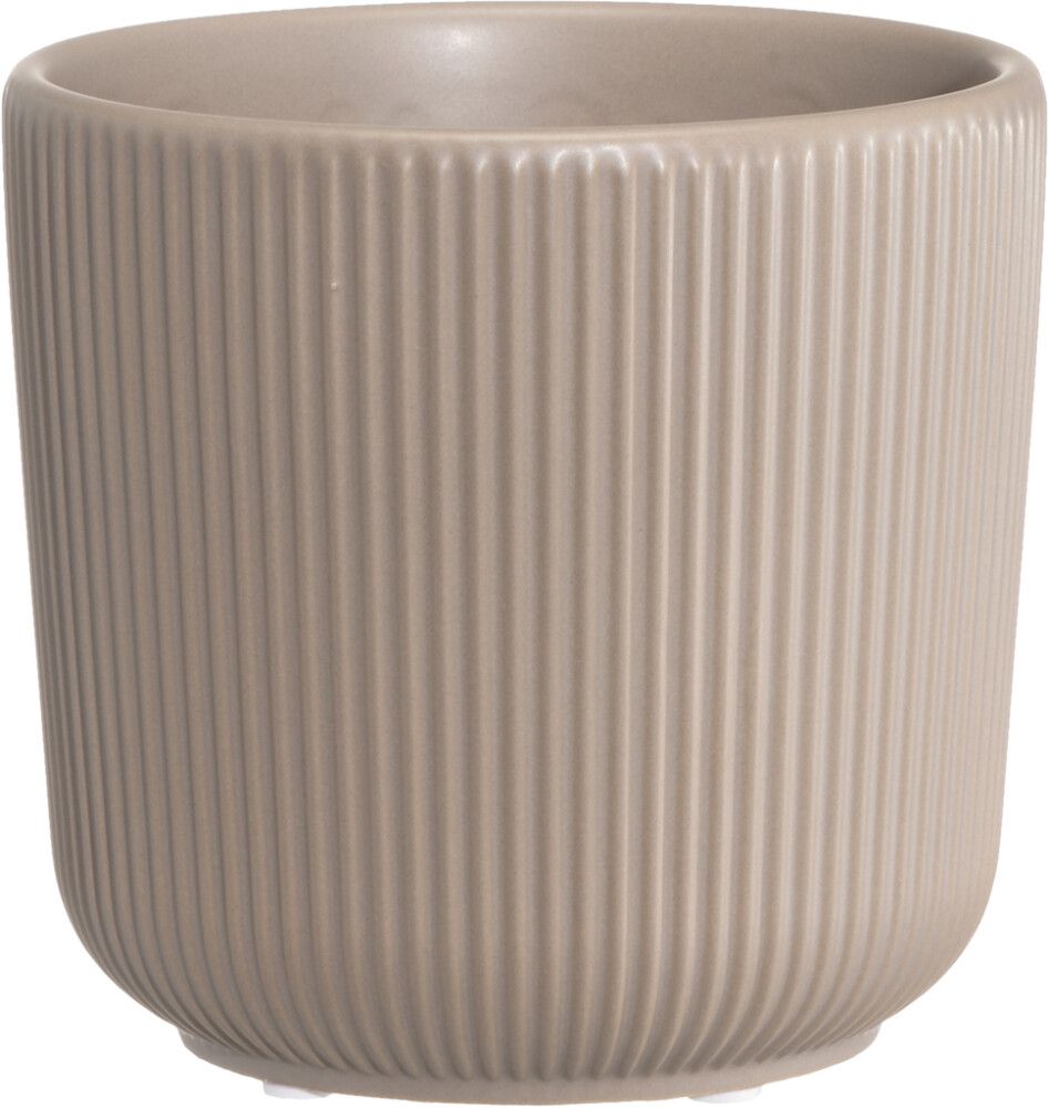 Suojaruukku Eliza 15 cm lajitelma