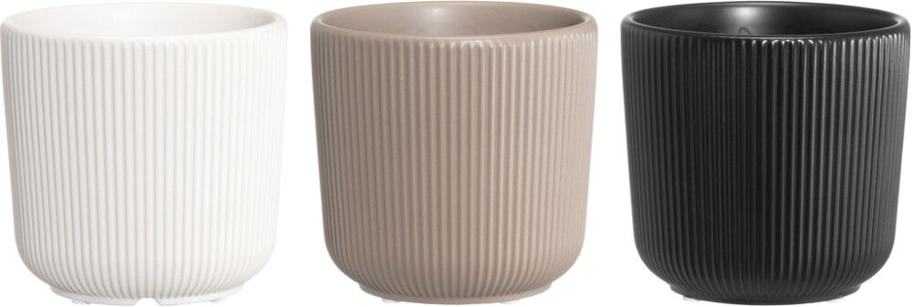 Suojaruukku Eliza 15 cm lajitelma