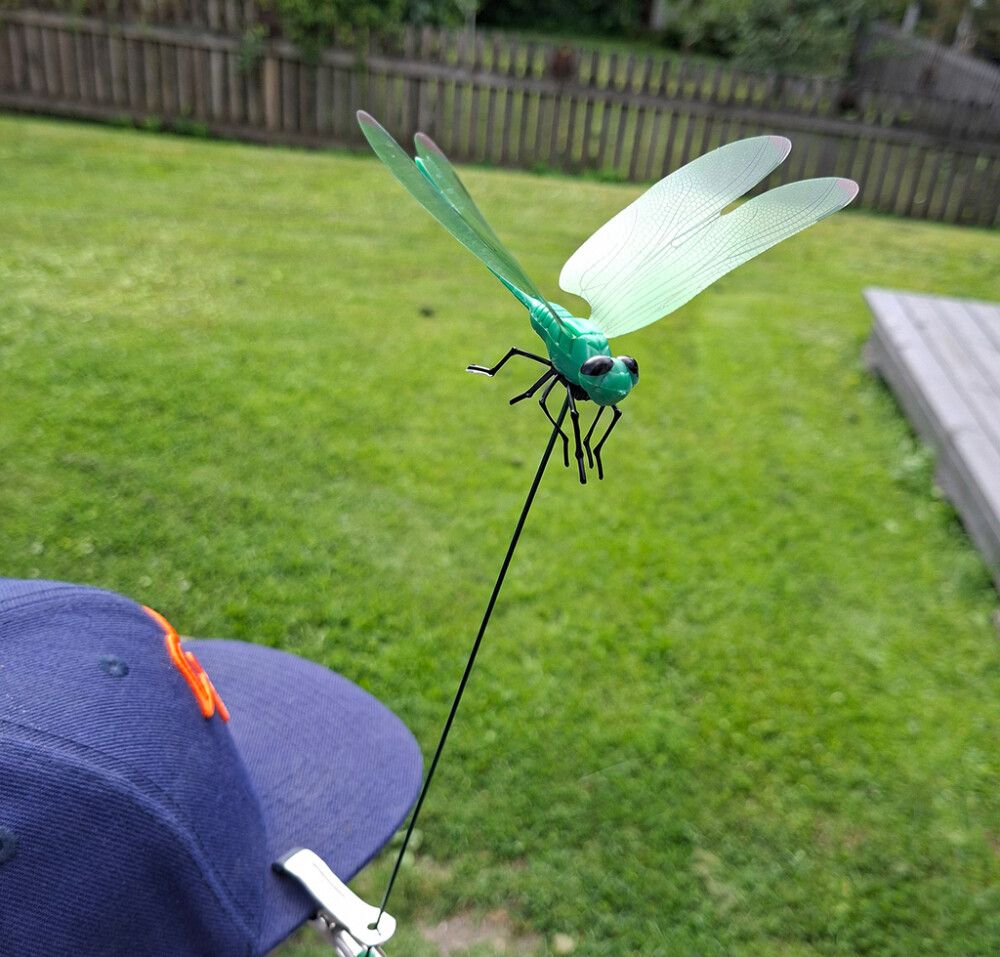 Paarmapelätin sudenkorento klipsillä 2 kpl