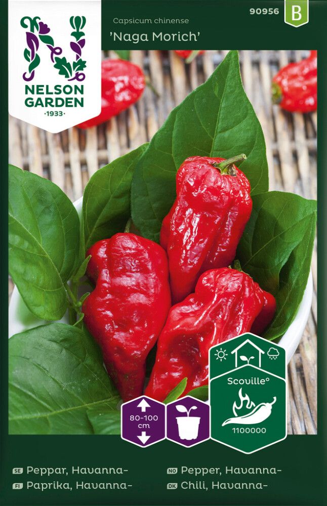 Chilipaprika Naga Morich