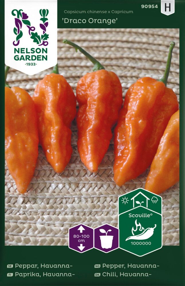 Chilipaprika Havanna Drago Orange