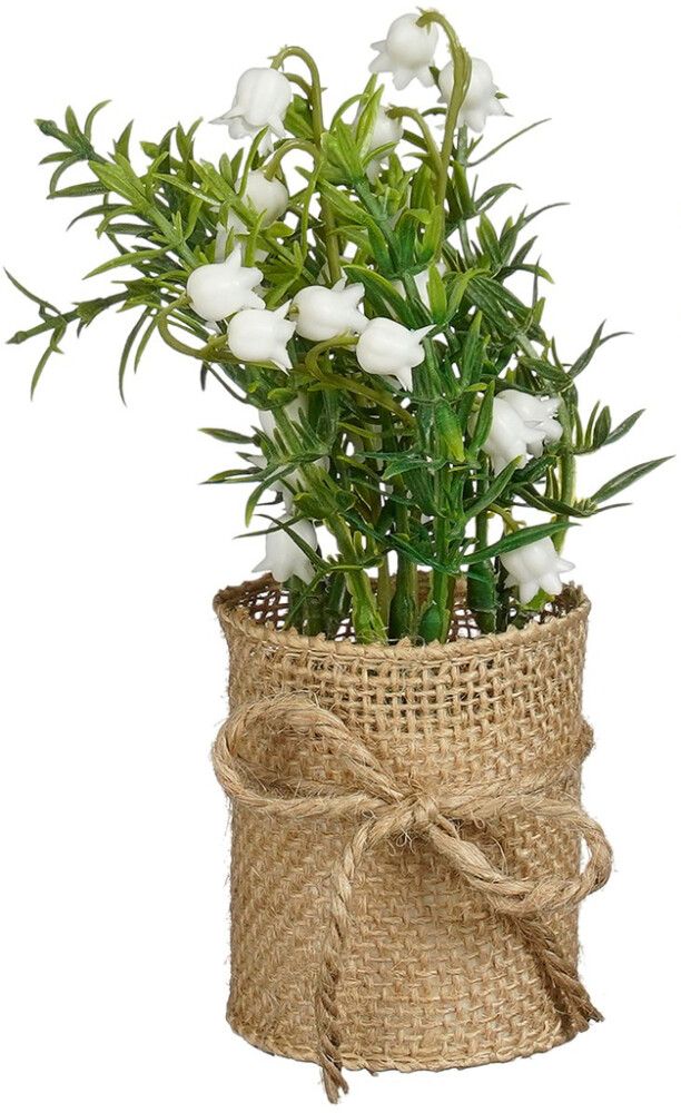 Silkkikasvi juuttiruukussa lajitelma