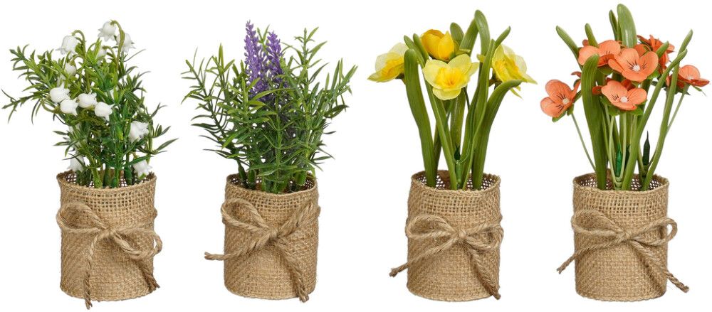 Silkkikasvi juuttiruukussa lajitelma