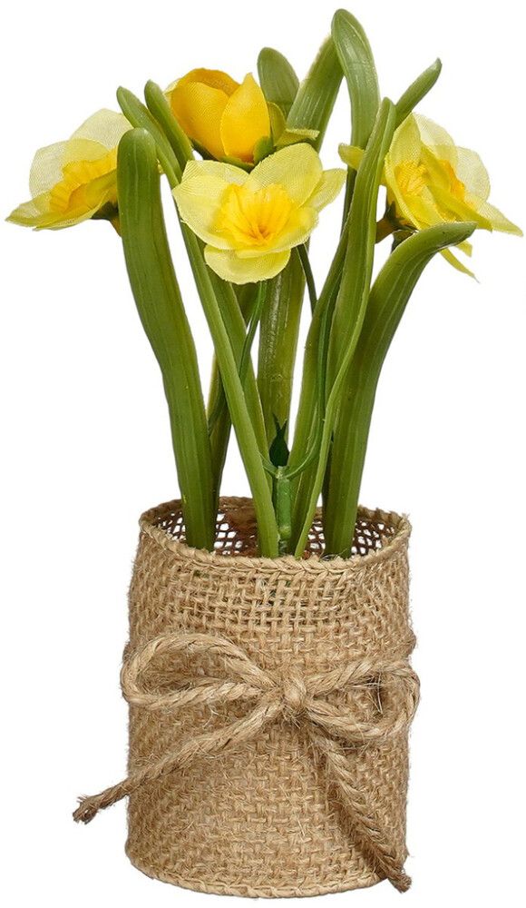 Silkkikasvi juuttiruukussa lajitelma