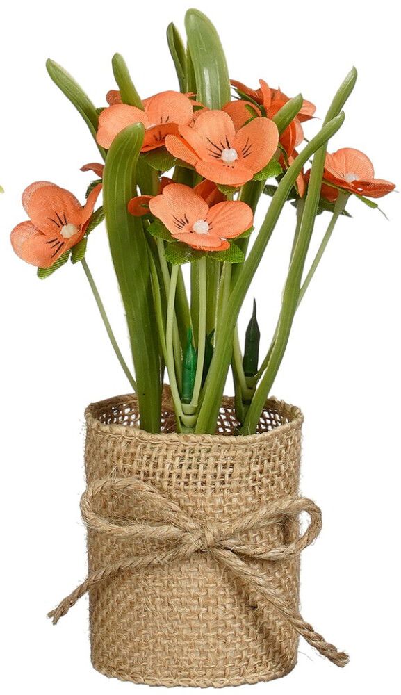 Silkkikasvi juuttiruukussa lajitelma