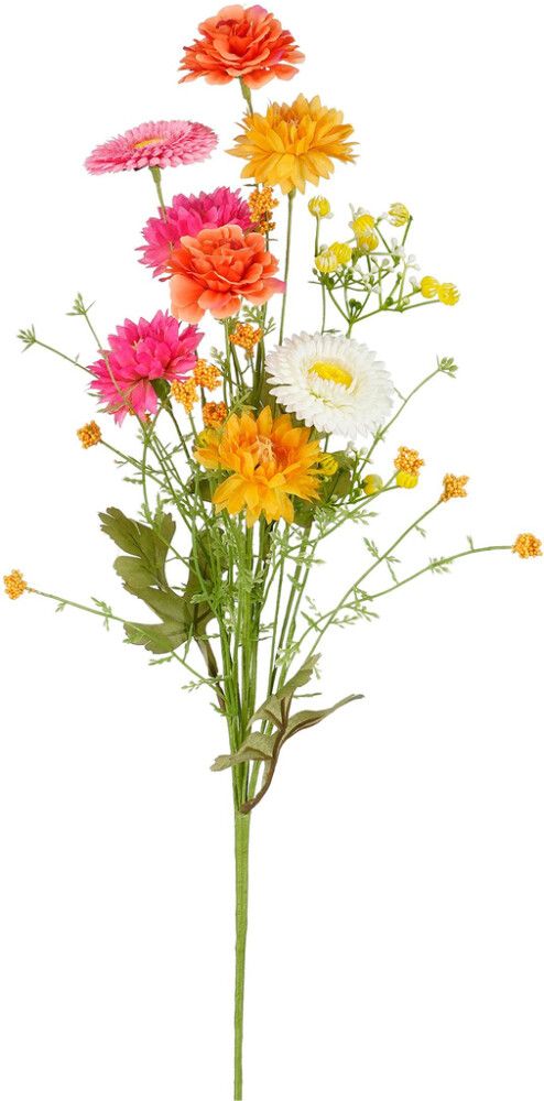 Silkkikasvi päivänkakkara 60 cm lajitelma