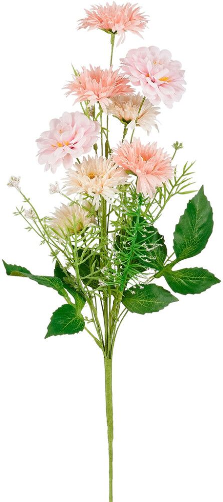 Silkkikasvi päivänkakkara 60 cm lajitelma