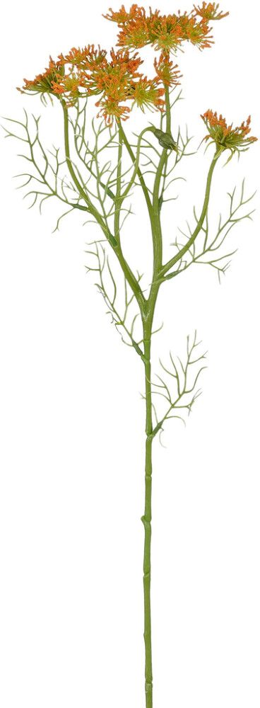 Silkkikasvi Porkkanankukka 61 cm oranssi