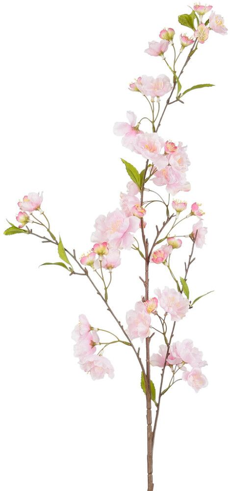 Silkkikasvi Kirsikanoksa 99 cm vaaleanpunainen