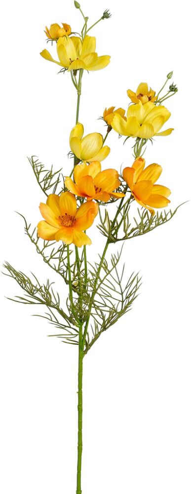 Koristeoksa Kosmoskukka 73 cm lajitelma