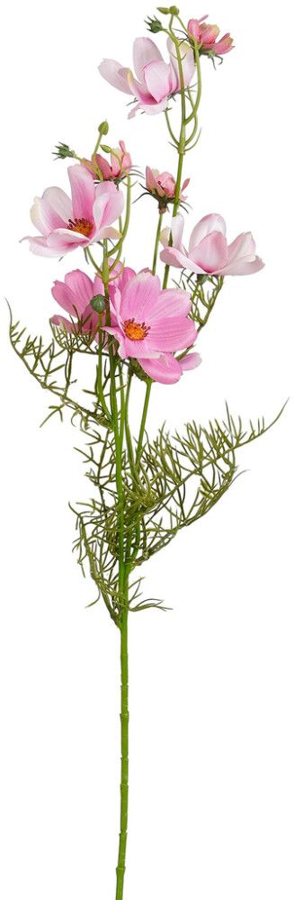 Koristeoksa Kosmoskukka 73 cm lajitelma