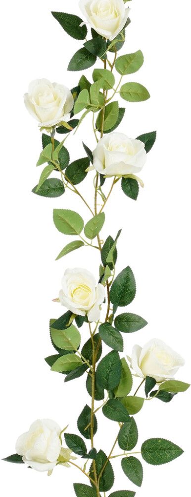 Silkkikasvi Ruusuköynnös 180 cm valkoinen