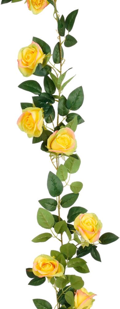 Silkkikasvi Ruusuköynnös 180 cm keltainen