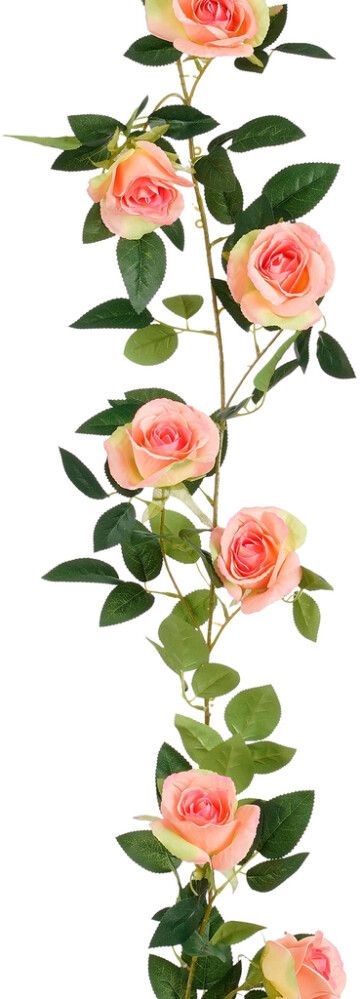 Silkkikasvi Ruusuköynnös 180 cm lohenpunainen