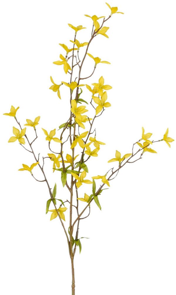 Koristeoksa Keltakärhö 84 cm