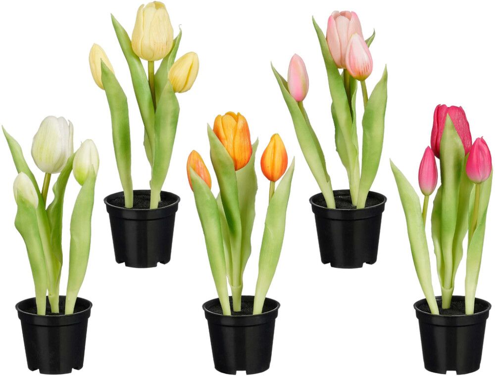 Sillkikasvi Tulppaani ruukussa P7,5 cm lajitelma