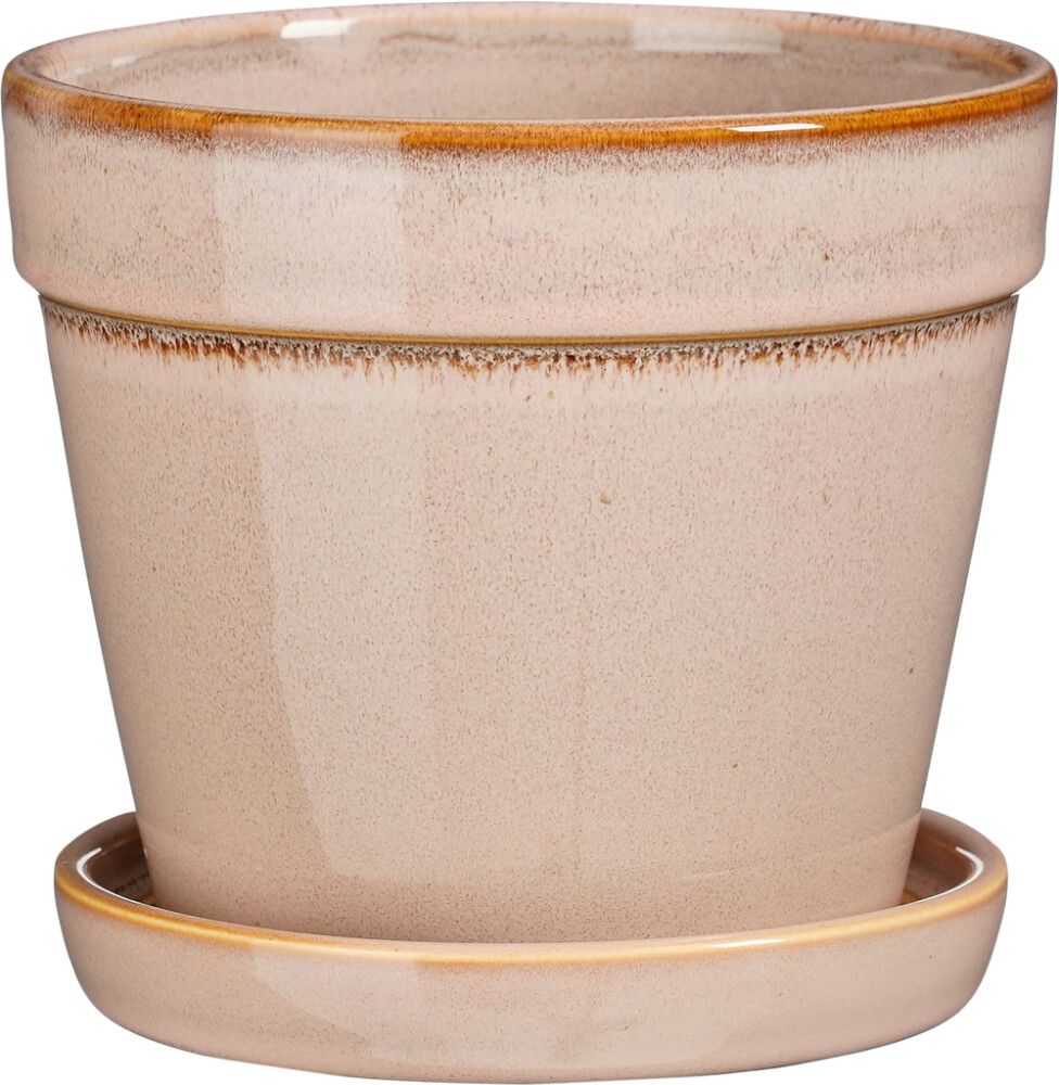 Suojaruukku Clint aluslautasella 15 cm