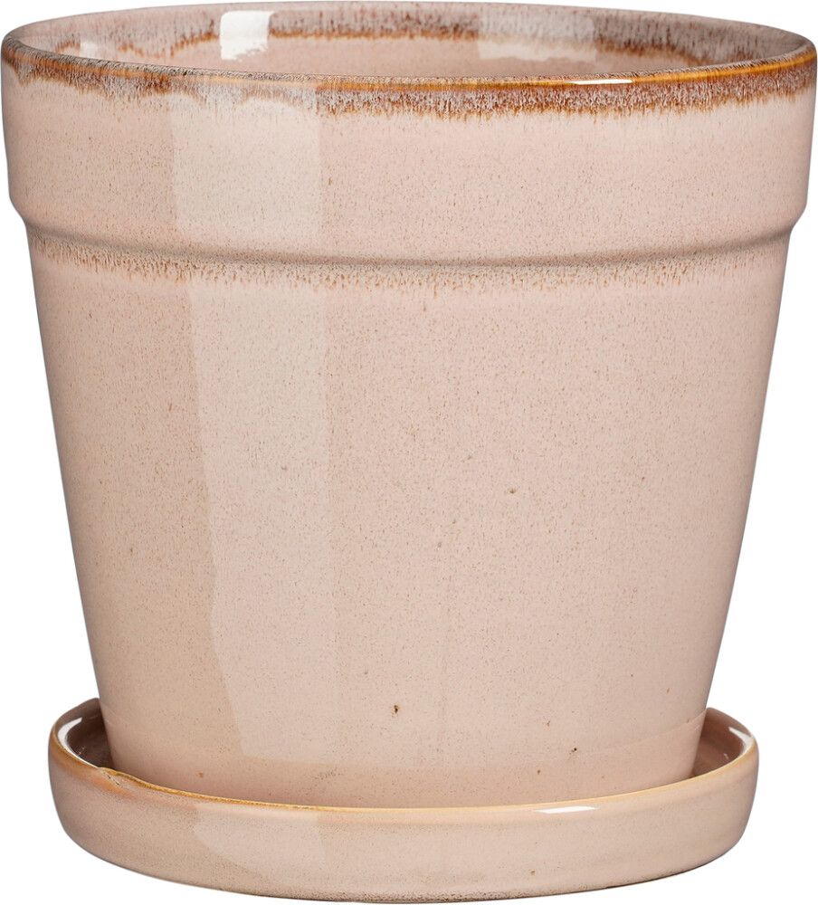 Suojaruukku Clint aluslautasella 17 cm