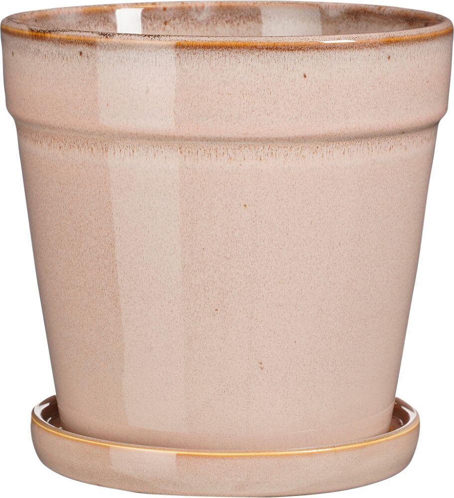 Suojaruukku Clint aluslautasella 20 cm