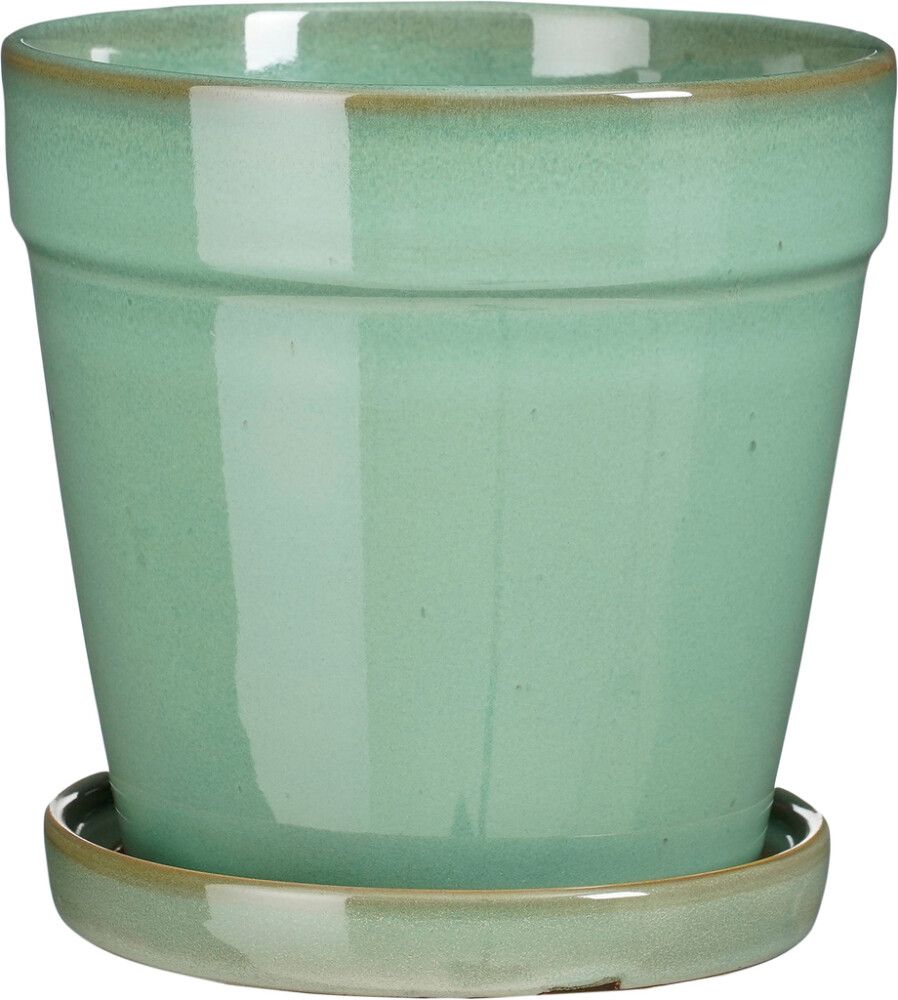 Suojaruukku Clint aluslautasella 17 cm mintunvihreä