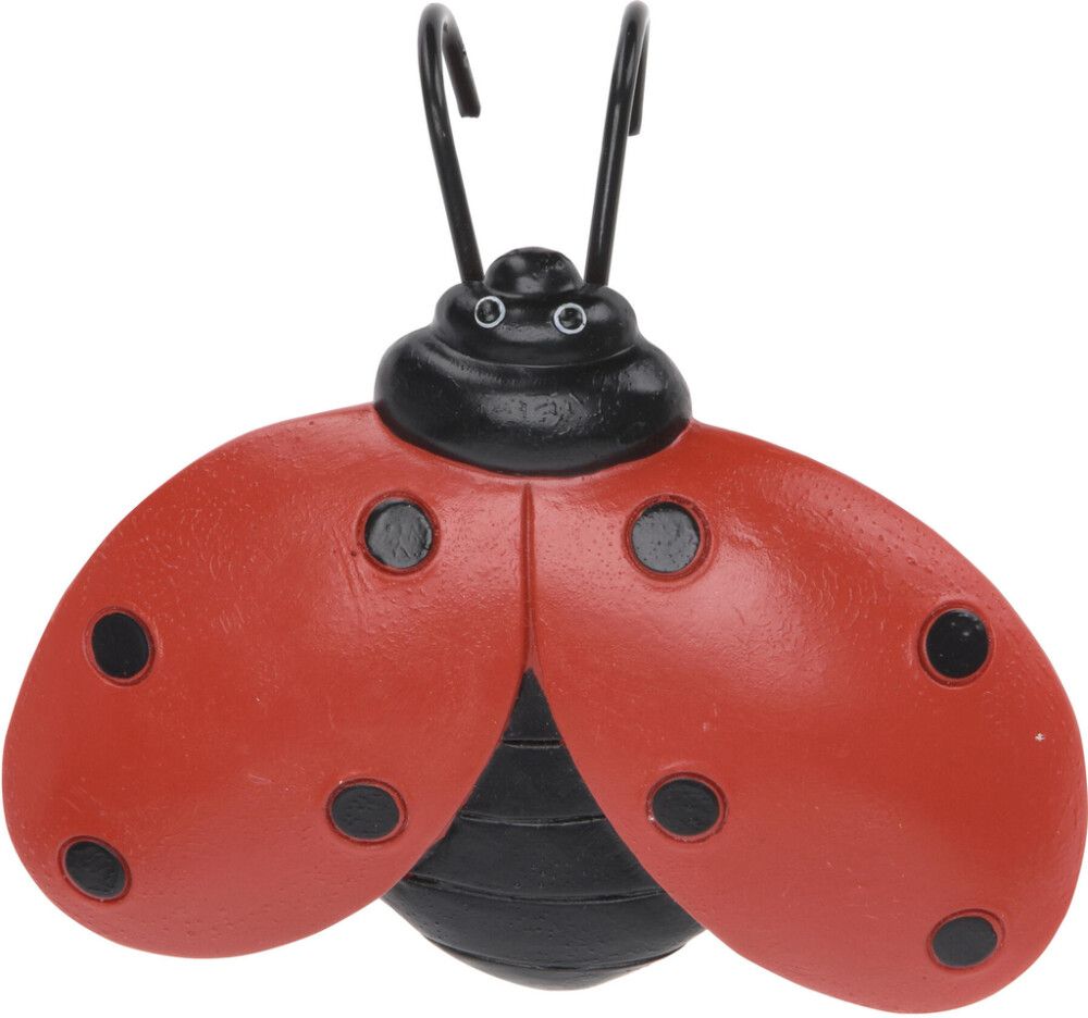 Ruukkukoriste leppäkerttu lajitelma