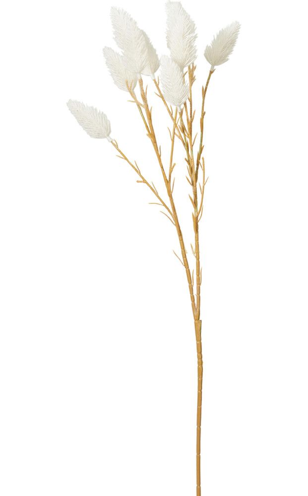 Koristeoksa talvikukka 70 cm lajitelma