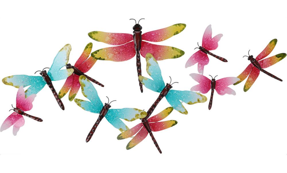 Seinäkoriste sudenkorento lajitelma