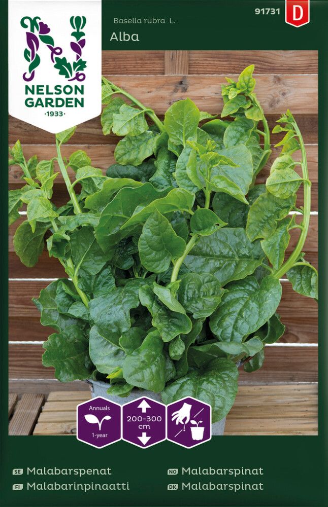 Malabarinpinaatti Basella Alba 