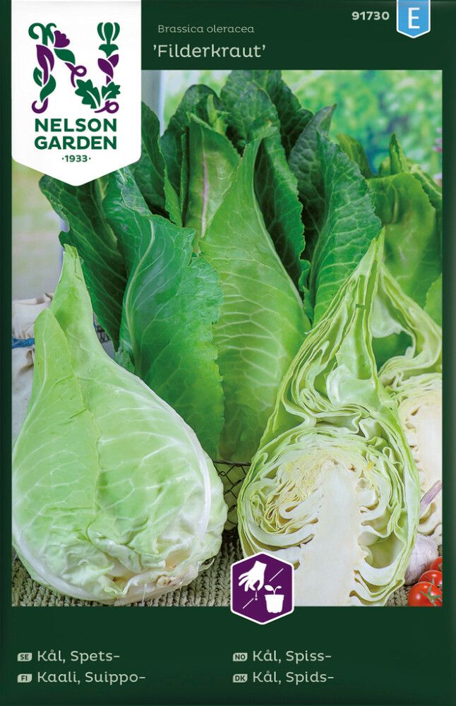 Suippokaali Filderkraut